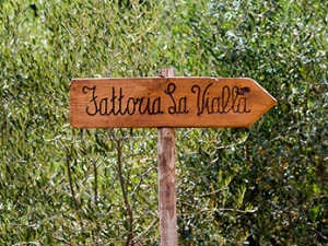 gruenerkrebs_fattoria_la_vialla_09